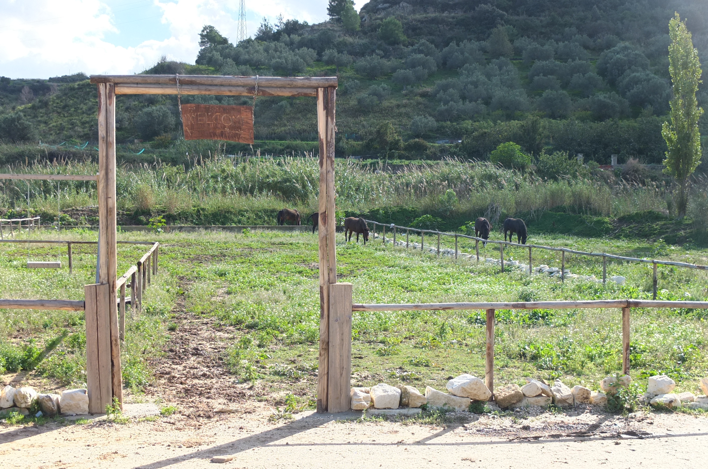 свадьба на сицилии, организация свадьбы на сицилии