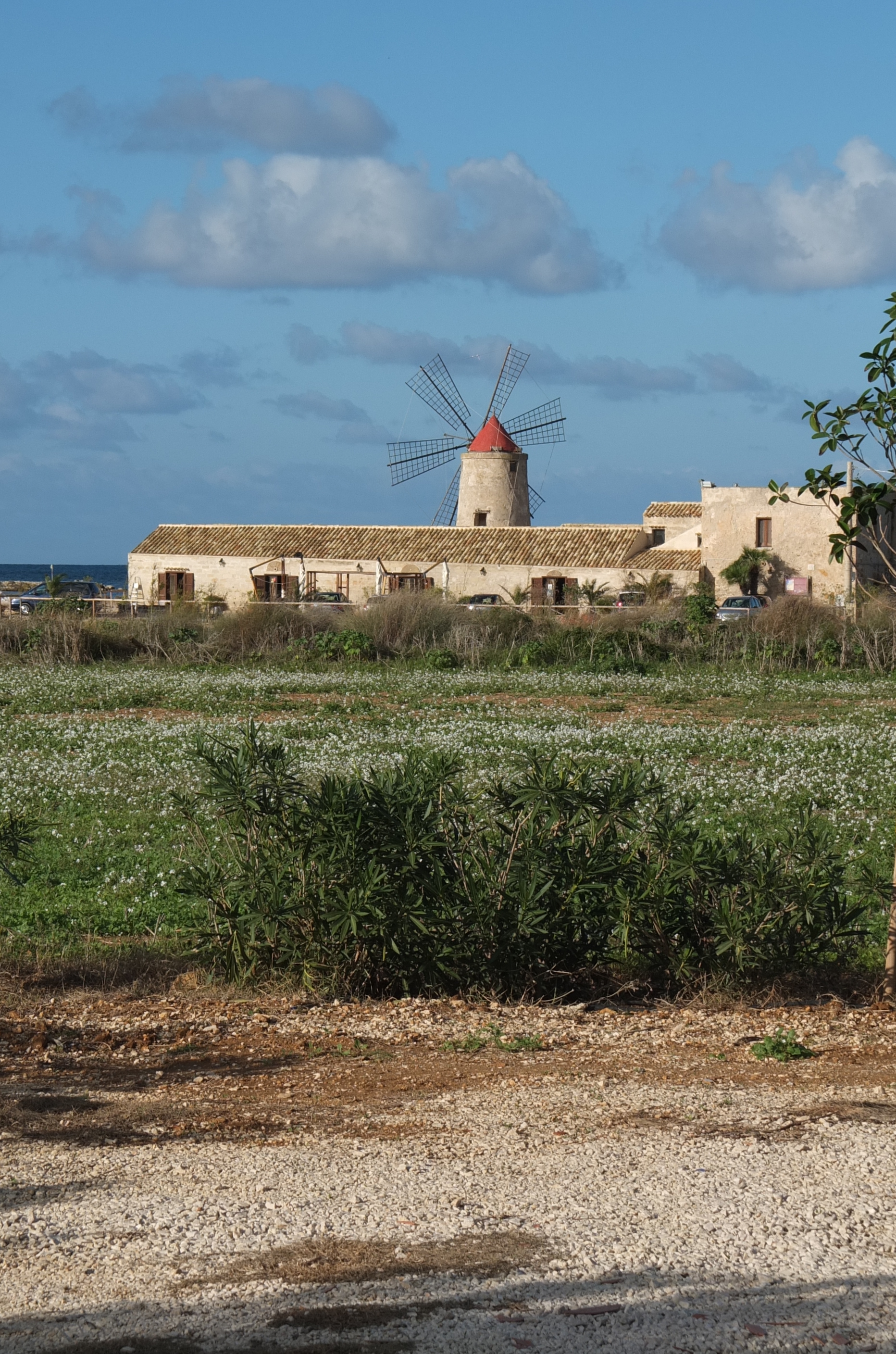 свадьба на сицилии, организация свадьбы на сицилии