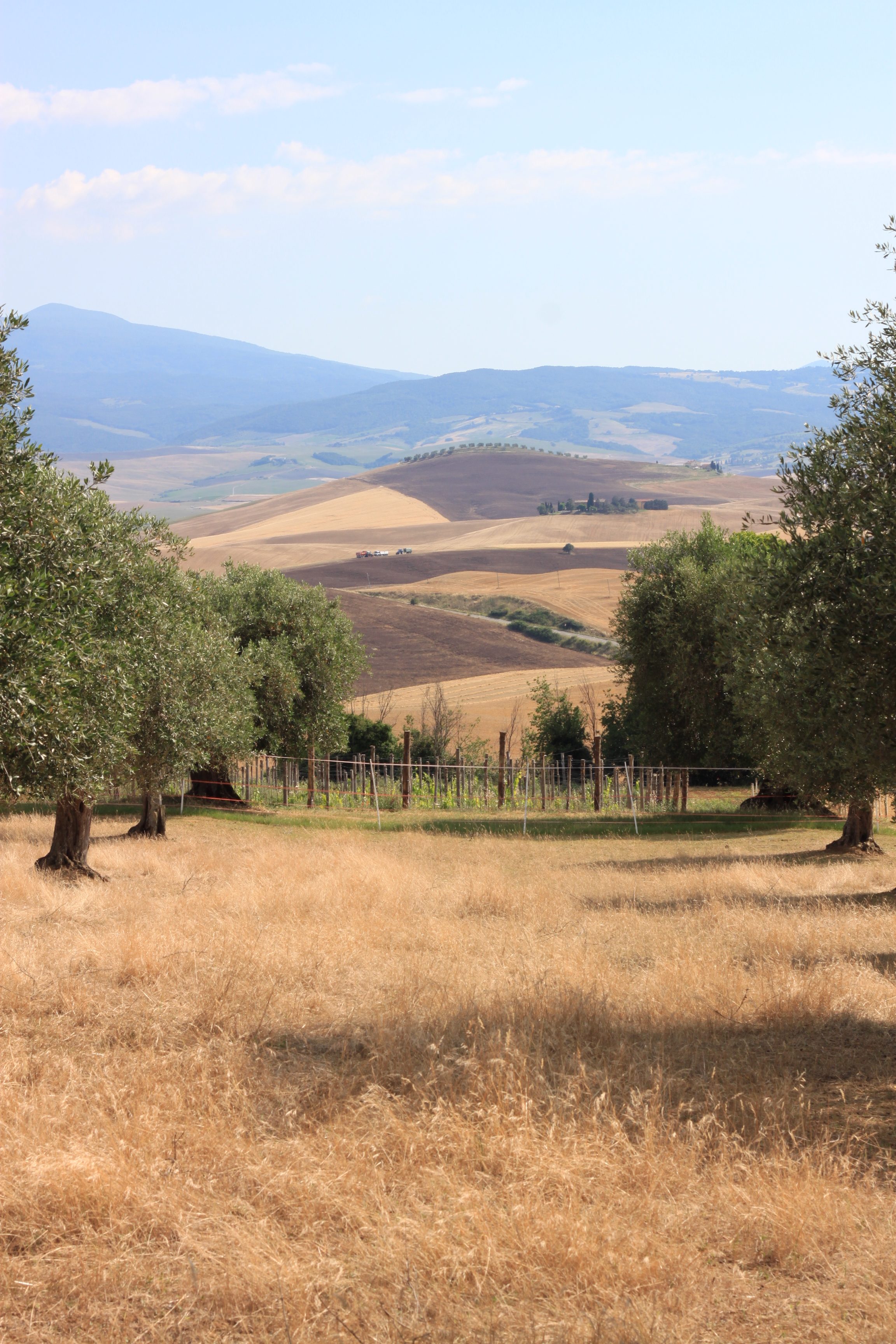 wedding ceremony in tuscany location