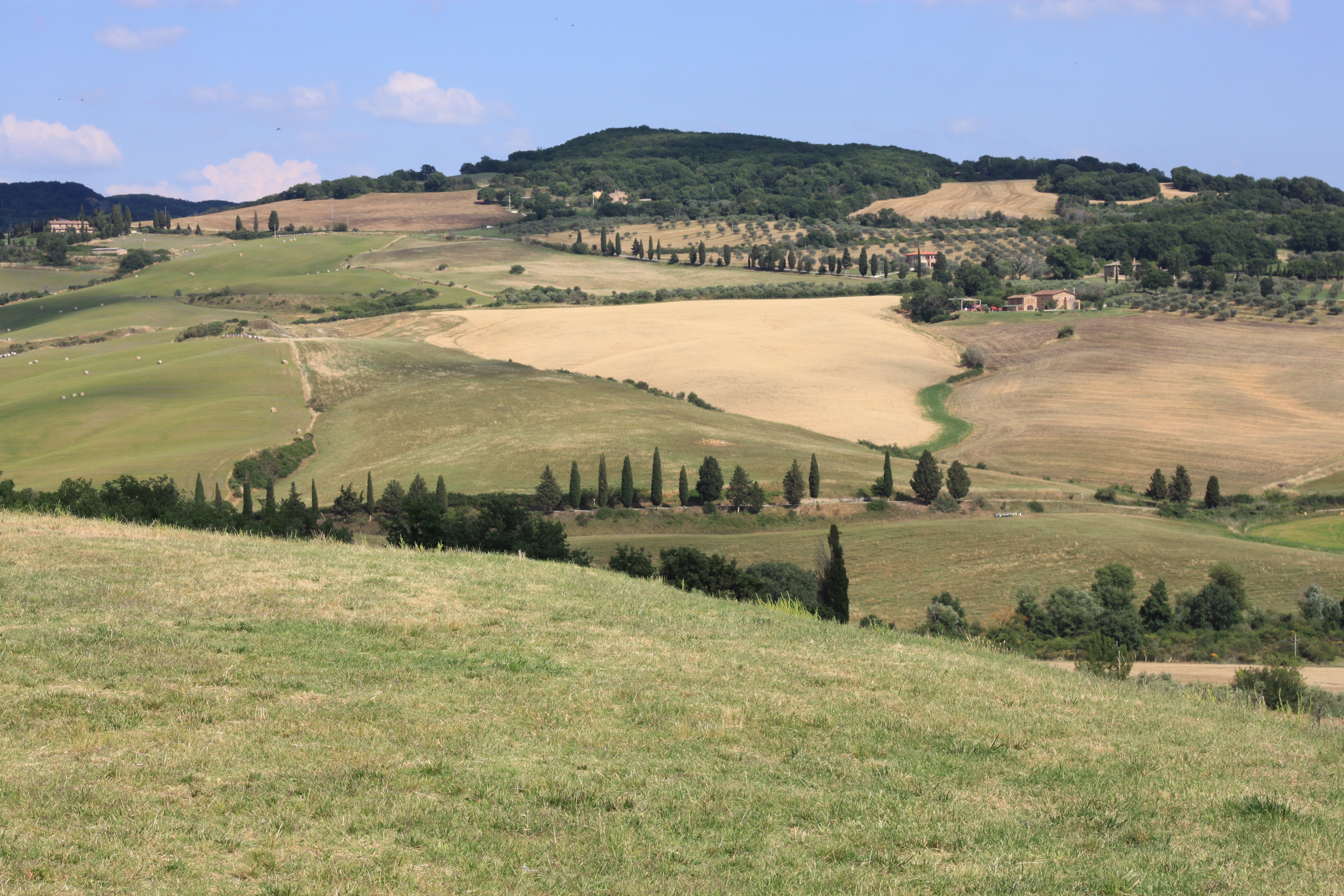 wedding in Val d'Orcia